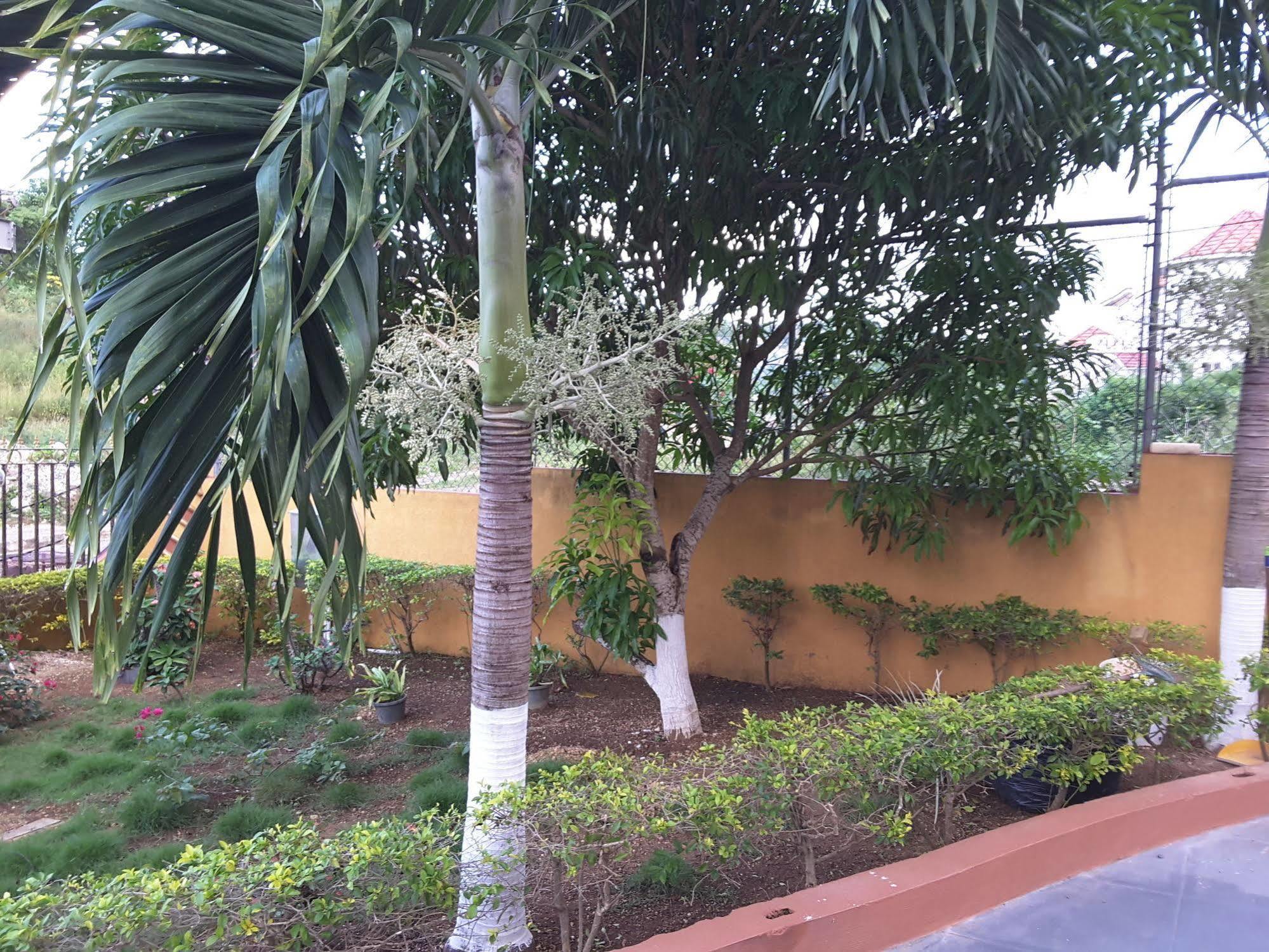 Cazwin Villas Montego Bay Zewnętrze zdjęcie